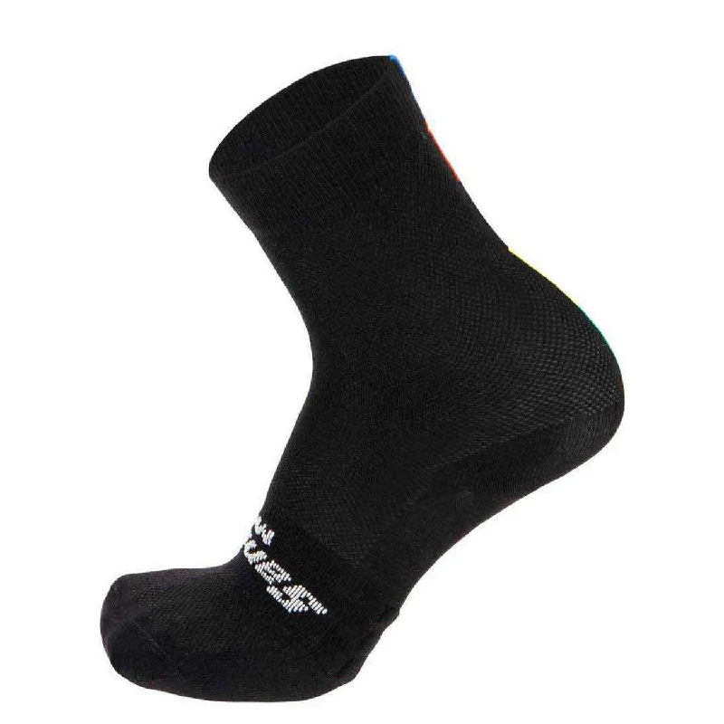 Santini UCI Official Rainbow Socks (Black)